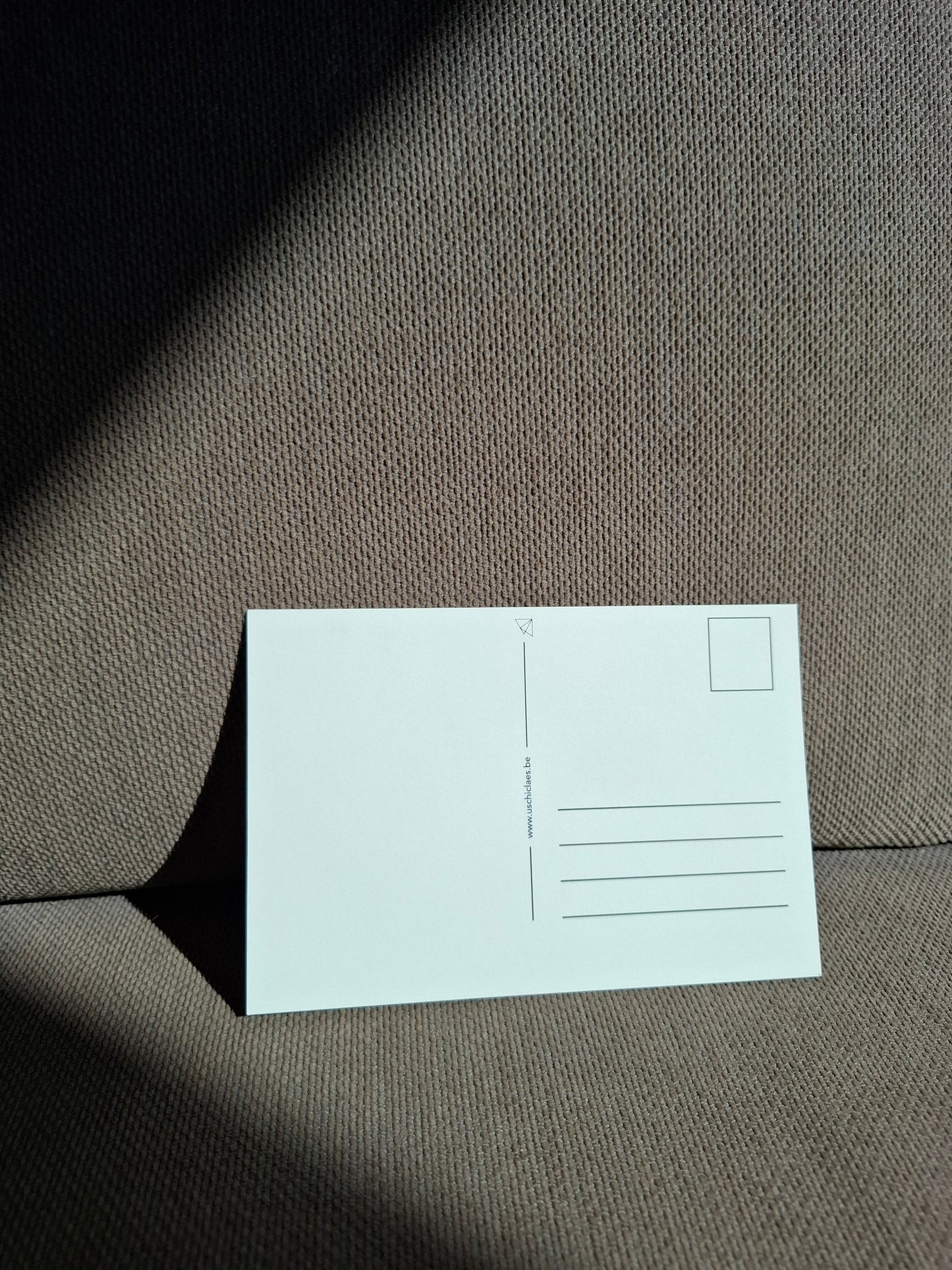 Postkaart zomaar wasbeer