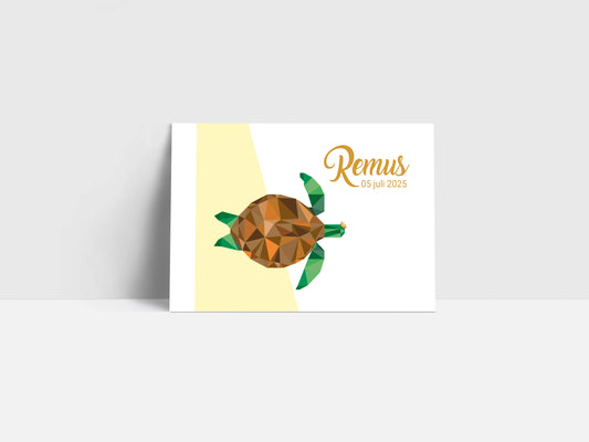 Geboortekaartje Remus