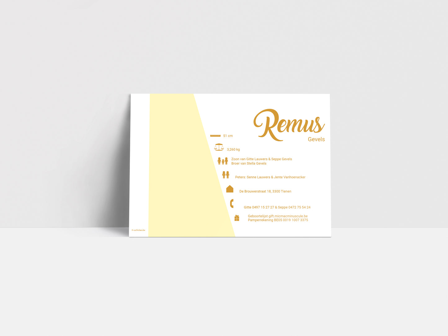 Geboortekaartje Remus