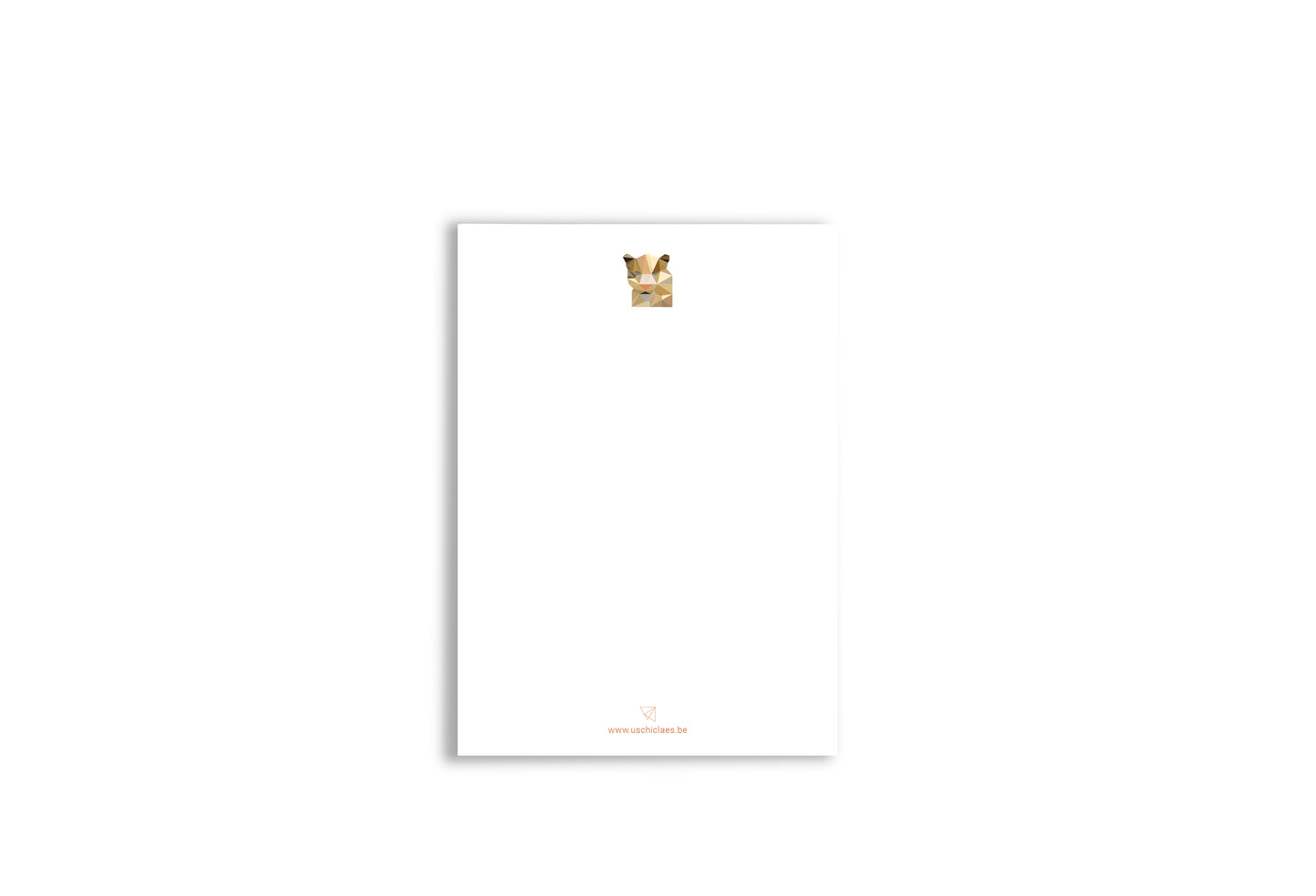 Wenskaart leeuwin met envelop