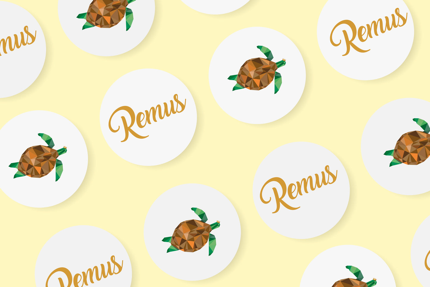 Geboortekaartje Remus