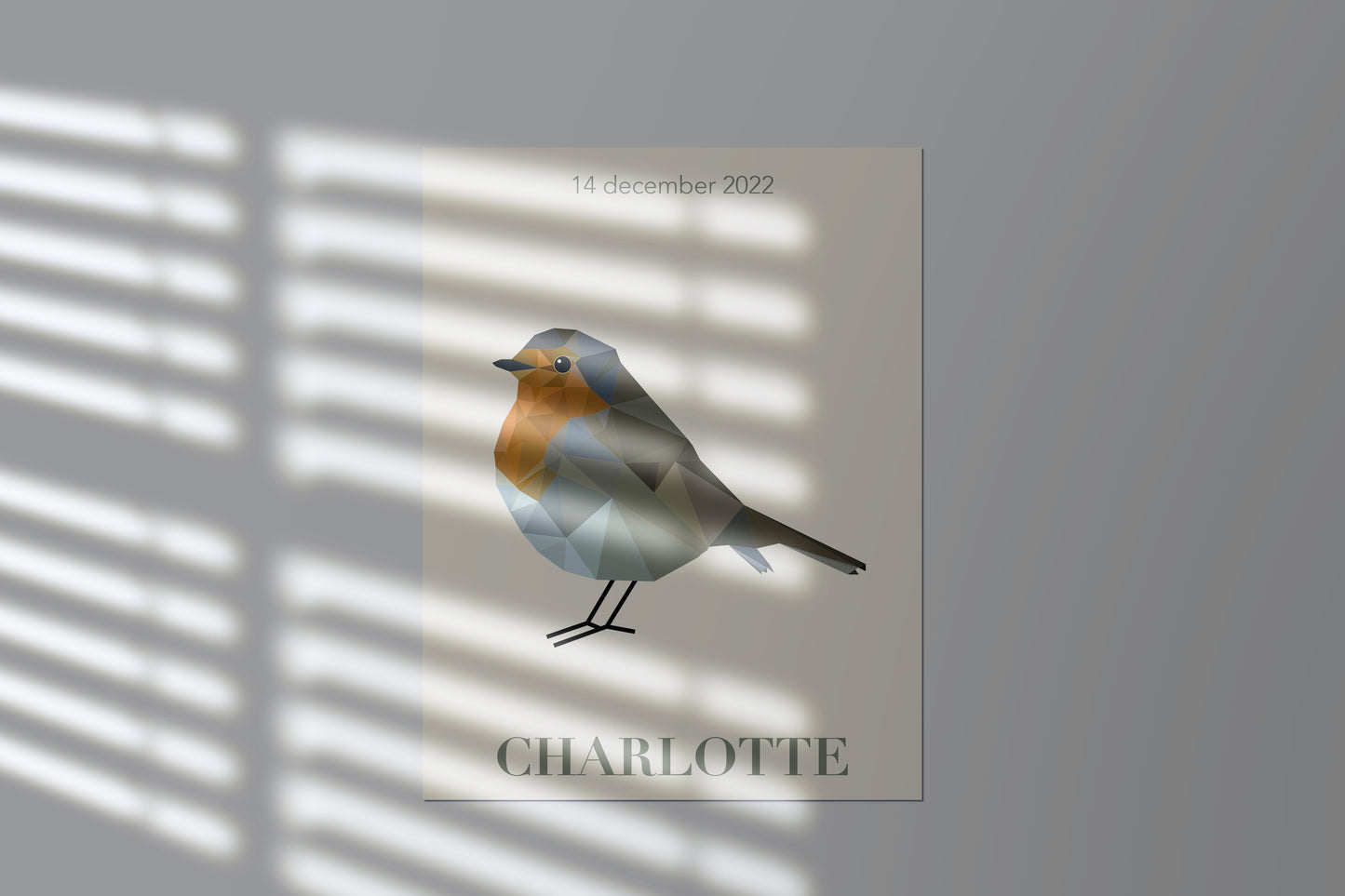 Geboortekaartje Charlotte
